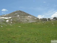 2026-05-09 Le cime di Casamaina 193